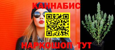 прущие крисы Татарск