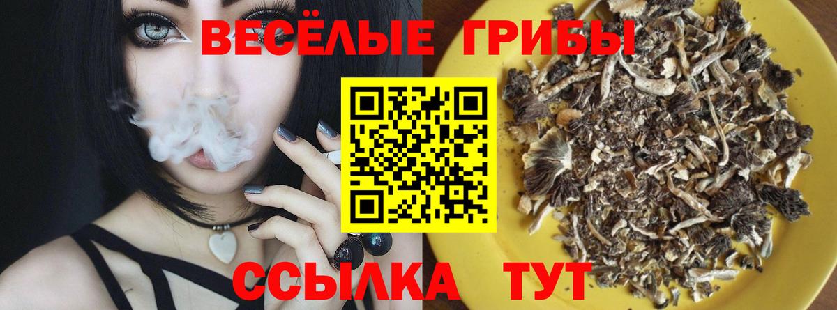Псилоцибиновые грибы GOLDEN TEACHER Асино