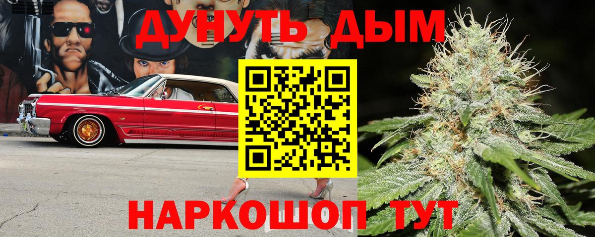 Бошки Шишки VHQ Асино
